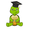 Graduation turtle
