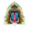 Monkey polygon design gift