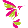 Hummingbird 001