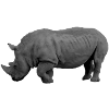 rhino