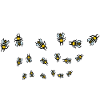 Swarm of bees