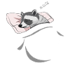 Sleeping and slumbering raccoon