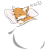 Sleeping and slumbering fox