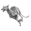 Greyhound