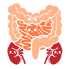 Cute human anatomy body parts organs