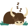 Sleeping Yak