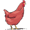 HEN