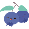 Blueberries