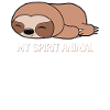 Sloth favorite animal