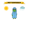 Wetterfrosch Frosch Wetterbericht Spruch