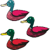 Ducks pack of three