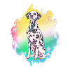 dalmatien