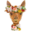 lama