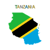Tanzania flag - art design