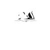 dieu du boi
