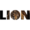 Lion text photo