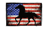 HORSE USA US America