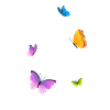 Schmetterling