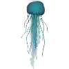 jellyfish tentacles