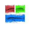 Predator anglers Streetfishing lures