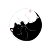 Yin and Yang Cat