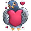 Pigeon avec cœur - Idée cadeau