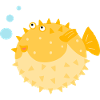 Cute Puffer Fish