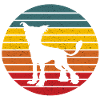 Dog Chinese Hound