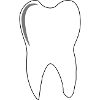 molar tooth