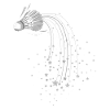 Shuttlecock shuttlecock