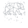 Bear Star Constellation Astrology Stars Sign Cute