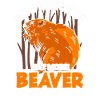 Beaver beaver
