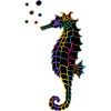 Seahorse
