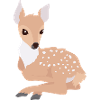 fawn