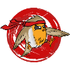 Ninja Robin
