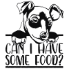Sweet dog / German pinscher / gift