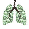 Healthy Lung