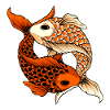 Yin Yang Koi Karpen Koi Teich Japan Fische Symbol