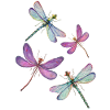 The flight of dragonflies