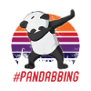 Panda Dabbing panda Panda Bear Panda Baby