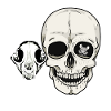 Skulls Cat Human Skull Pets