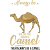Camel saying gift