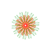 Conception