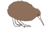 Kiwi Kiwi New