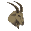goat
