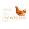 Chickens, chicken lovers