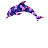 Delfin