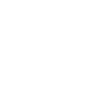 Birds arent real