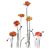 Mohnblume Klatschmohn