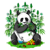 Panda Hippie Weed
